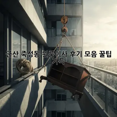 군산 죽성동 원룸이사 후기 모음: 꿀팁 가득!