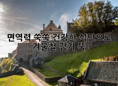 면역력 쑥쑥! 건강한 식단으로 겨울철 감기 뚝!