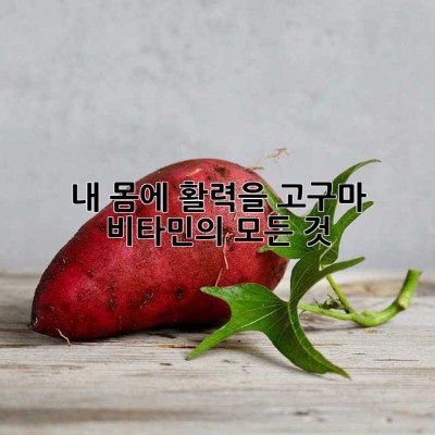 🍠 내 몸에 활력을! 고구마 비타민의 모든 것