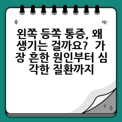 왼쪽 등쪽 통증의 모든 것: 원인, 증상, 진단 및 치료법 완벽 가이드