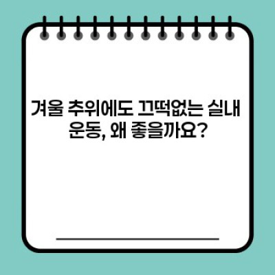 겨울철 실내 운동 끝판왕! 집에서 하는 홈트레이닝 베스트 운동기구 추천 (2024년 최신판)