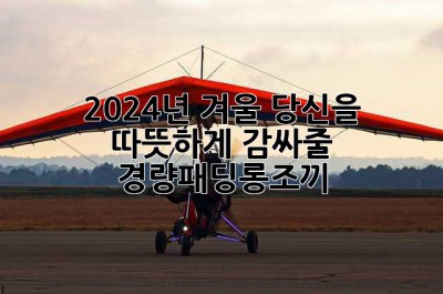 2024년 겨울, 당신을 따뜻하게 감싸줄 경량패딩롱조끼!