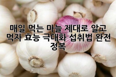 매일 먹는 마늘, 제대로 알고 먹자! 효능 극대화 섭취법 완전 정복!