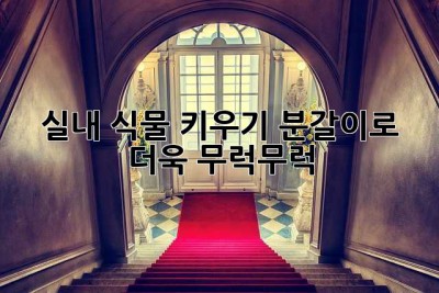 실내 식물 키우기: 분갈이로 더욱 무럭무럭!