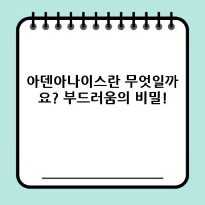 아덴아나이스 완벽 가이드: 궁금증 해결 & 최고의 선택을 위한 모든 것