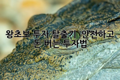 왕초보 투자 탈출기 🚀 안전하고 돈 버는 투자법💰