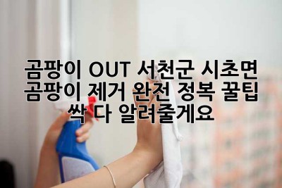 🏡 곰팡이 OUT! 서천군 시초면 곰팡이 제거 완전 정복 꿀팁 싹 다 알려줄게요! ✨