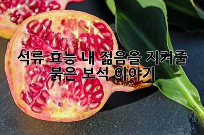 석류 효능: 내 젊음을 지켜줄 붉은 보석 이야기 ✨