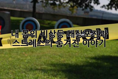 내 몸의 비상등, 대상포진과 스트레스의 숨겨진 이야기
