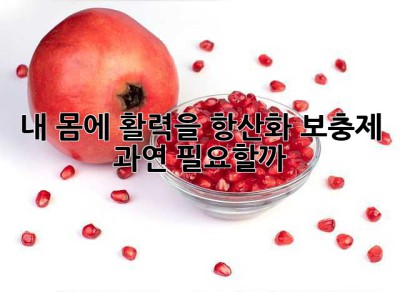 내 몸에 활력을! 항산화 보충제, 과연 필요할까? 🤔