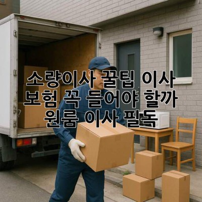 소량이사 꿀팁🍯 이사 보험, 꼭 들어야 할까? 원룸 이사 필독!
