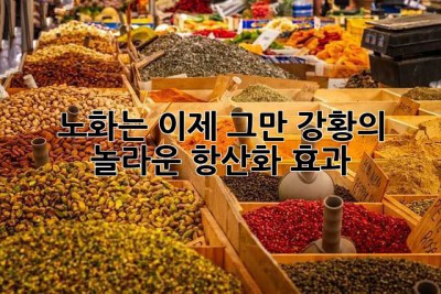 노화는 이제 그만! 강황의 놀라운 항산화 효과 ✨