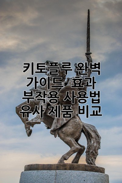 키토플루 완벽 가이드 💊 효과, 부작용, 사용법 & 유사 제품 비교 💯