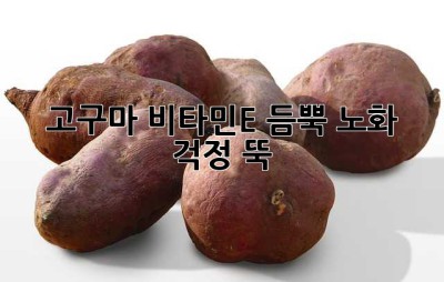 고구마, 비타민E 듬뿍! 노화 걱정 뚝! ✨