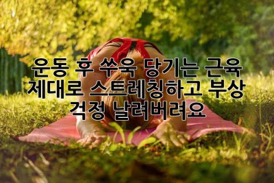 운동 후, 쑤욱 당기는 근육? 제대로 스트레칭하고 부상 걱정 날려버려요!