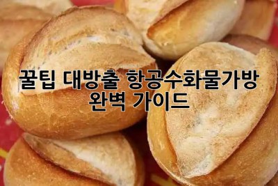 ✈️ 꿀팁 대방출! 항공수화물가방 완벽 가이드 🧳✨