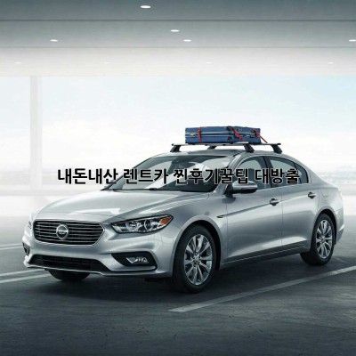 내돈내산 렌트카 찐후기!🚗💨꿀팁 대방출