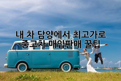 내 차, 담양에서 최고가로! 🚗 중고차 매입/판매 꿀팁 🍯