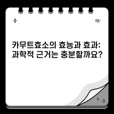 카무트효소 완벽 가이드: 효능, 논란, 그리고 현명한 선택